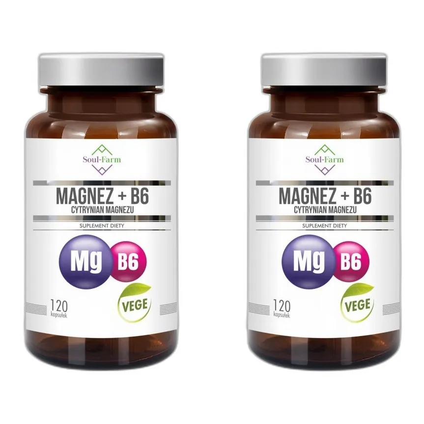 Zestaw dwóch opakowań cytrynianu magnezu z witaminą B6, 240 kapsułek łącznie — zdjęcie 1