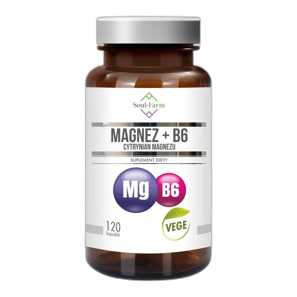 MAGNEZ cytrynian magnezu 650 mg + B6 120 KAPS — zdjęcie 1