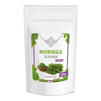 MORINGA oleifera 100g PROSZEK liście zmielone — zdjęcie 1