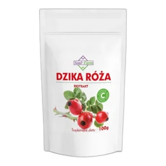 NATURALNA DZIKA RÓŻA WITAMINA C W PROSZKU 100g — zdjęcie 1